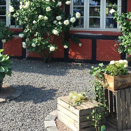 Lolland Bed & Breakfast-3